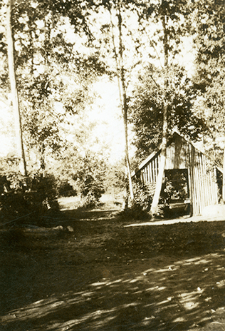 Whalley’s Service Station cabin amongst trees